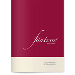 Дизайн имиджевой брошюры для компании «Fantesso»